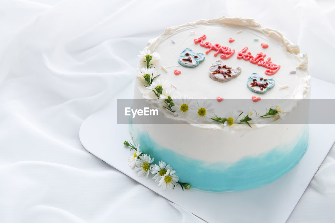Minimal birthday cake and decorated cute face cat and small flower on top