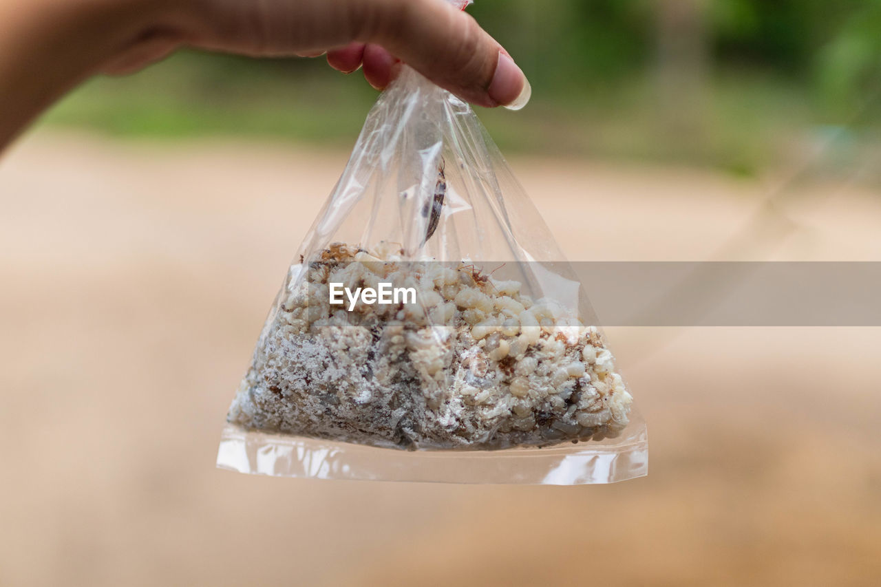 Close-up of hand holding sand in plastic bag
