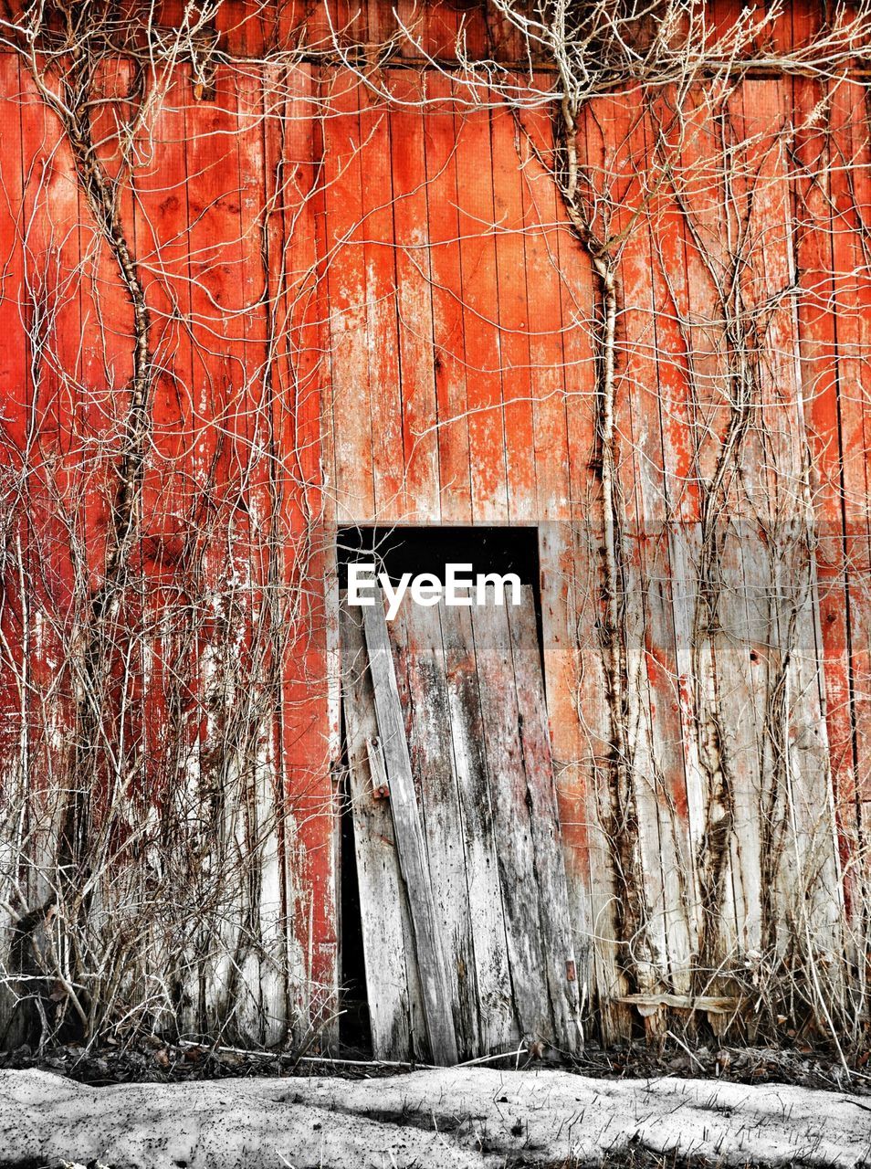 Old barn door