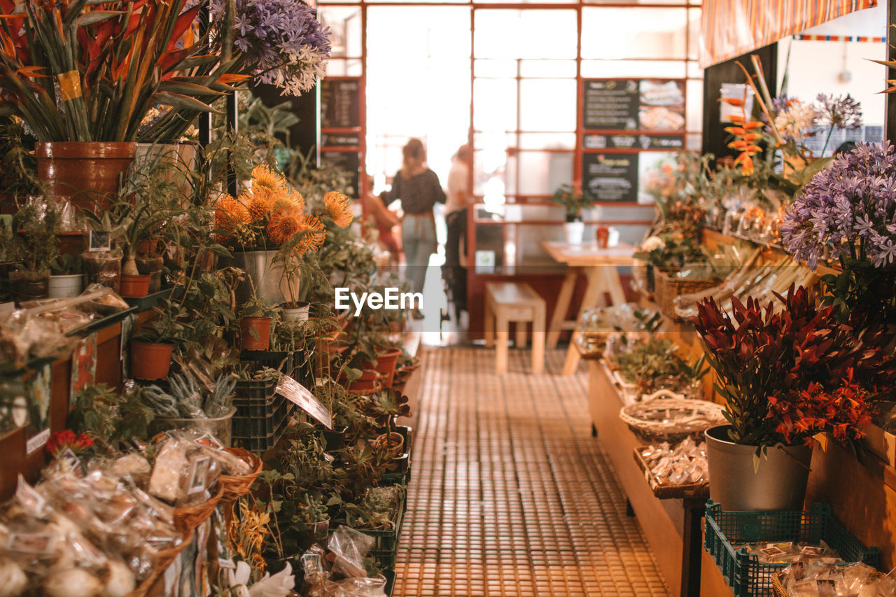 Flowers for sale in store