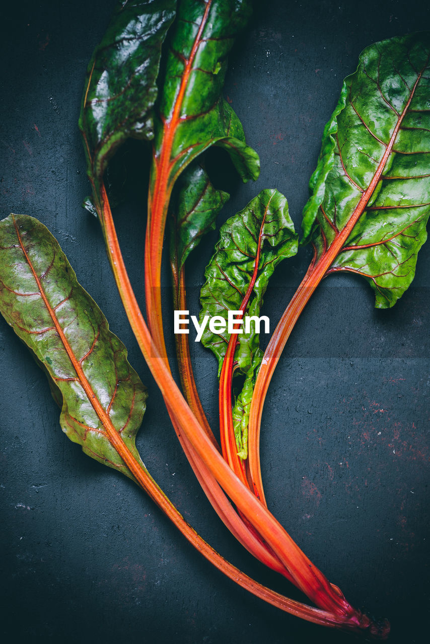 High angle view of leafy vegetables on table