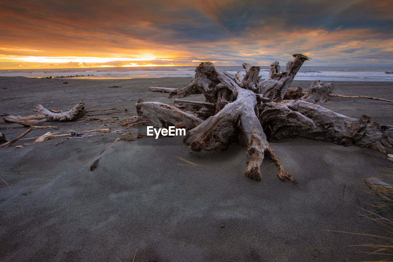 Driftwood on beach against sky during sunset