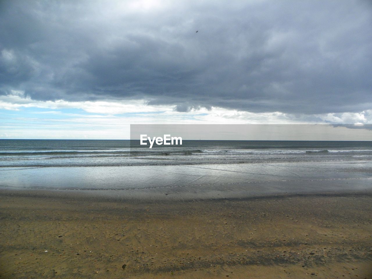 Scenic view of beach and sea