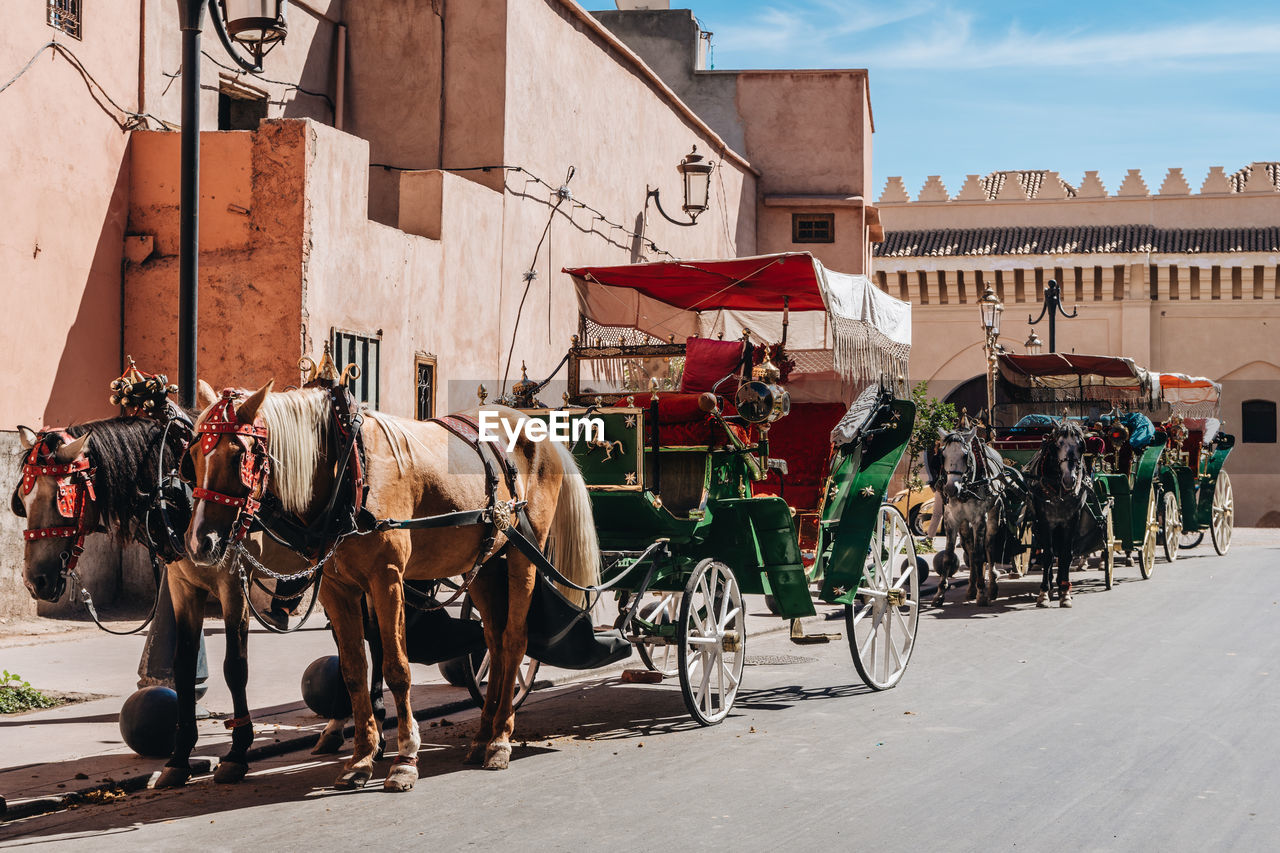 Empty horse-drawn carriages, marrakesh, morocco.