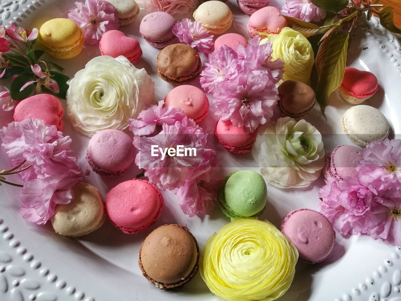 Close-up of colorful macaroons with flowers in plate