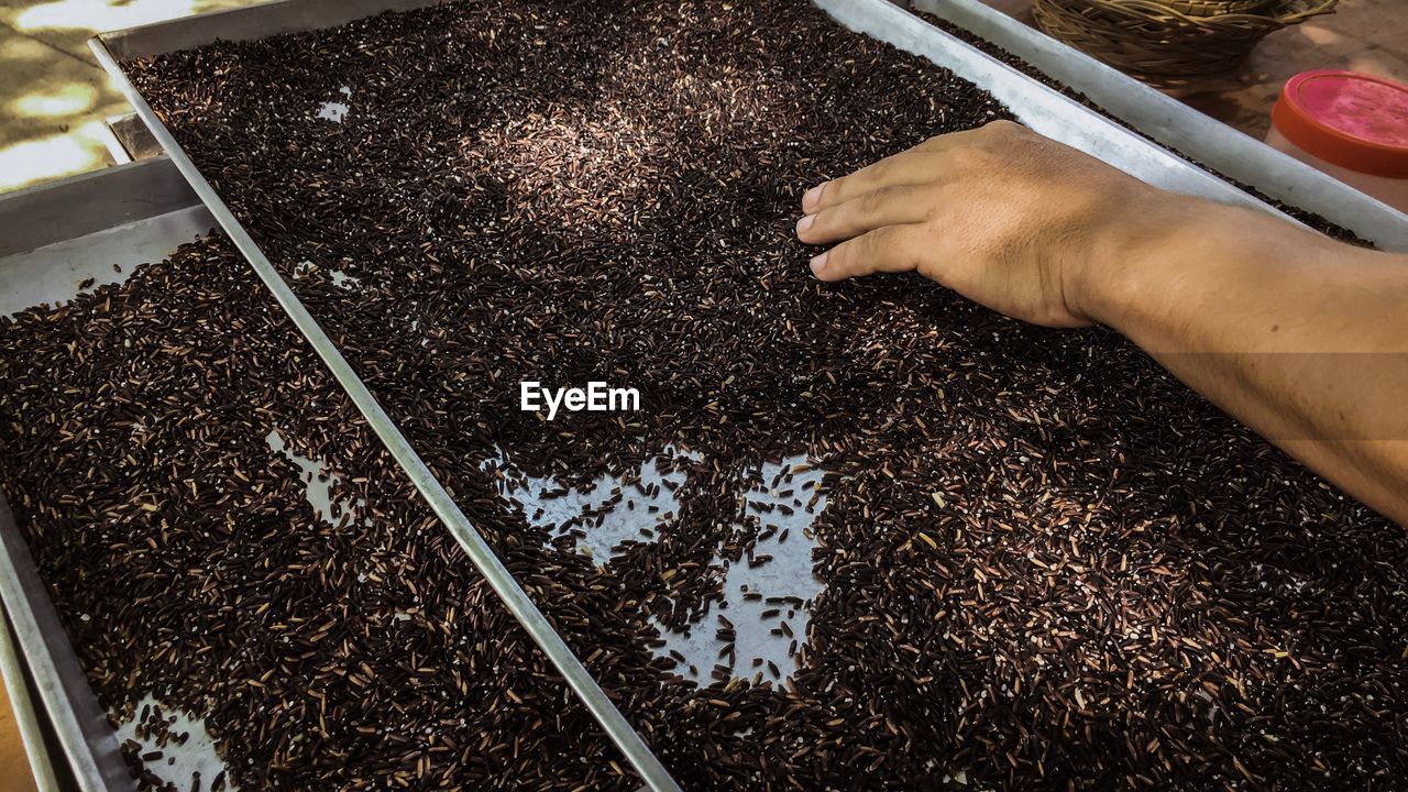 High angle view of woman preparing food