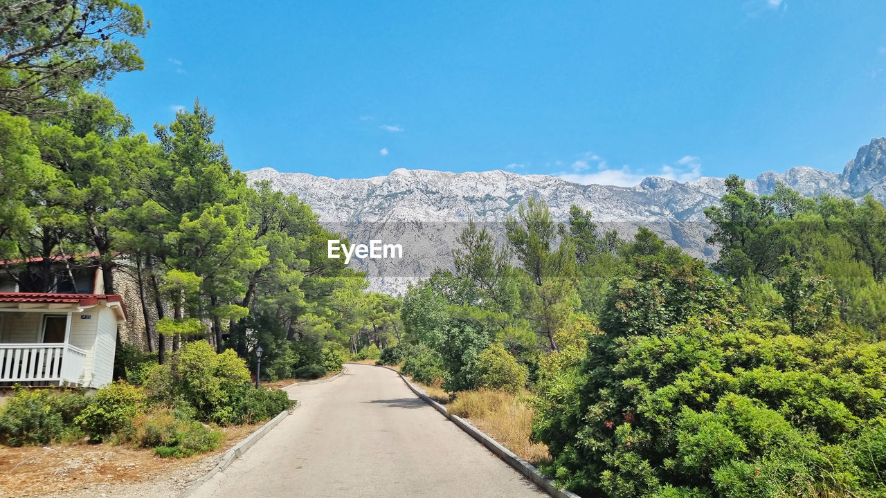 tree, plant, mountain, nature, sky, scenics - nature, transportation, beauty in nature, mountain range, road, green, landscape, day, no people, environment, architecture, travel, blue, outdoors, growth, land, the way forward, mountain pass, tranquility, non-urban scene, pine tree, built structure, tranquil scene, pinaceae, travel destinations, forest, coniferous tree, valley, building, sunlight, cloud, footpath, mode of transportation, house