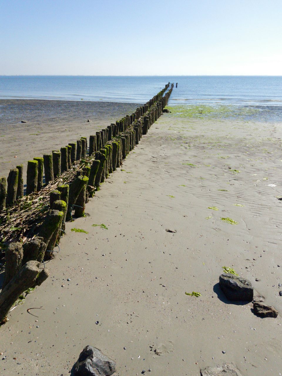 WOODEN POSTS ON BEACH AGAINST SKY