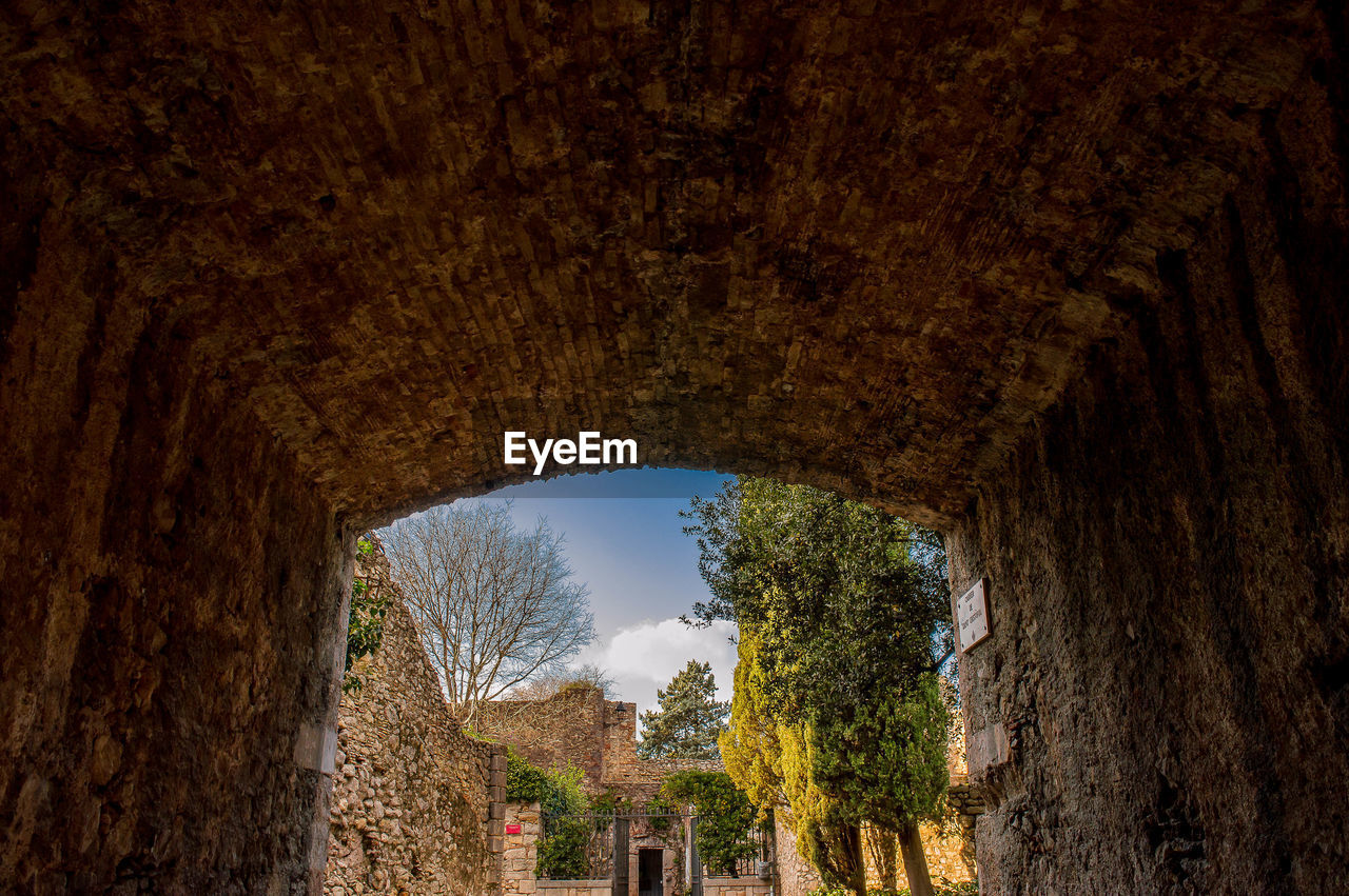 TREES AGAINST SKY SEEN THROUGH OLD WALL