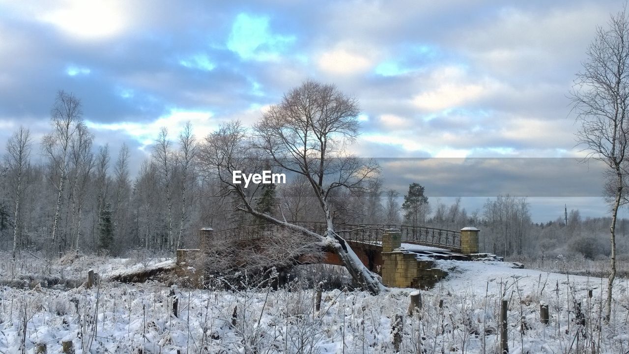 Bare trees on snow covered field against cloudy sky