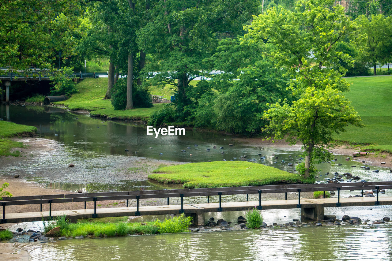 SCENIC VIEW OF RIVER BY TREE