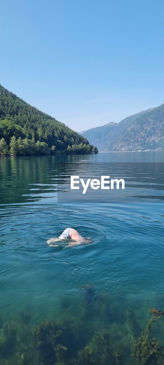 Man swimming in a norwegian fjord in summer.