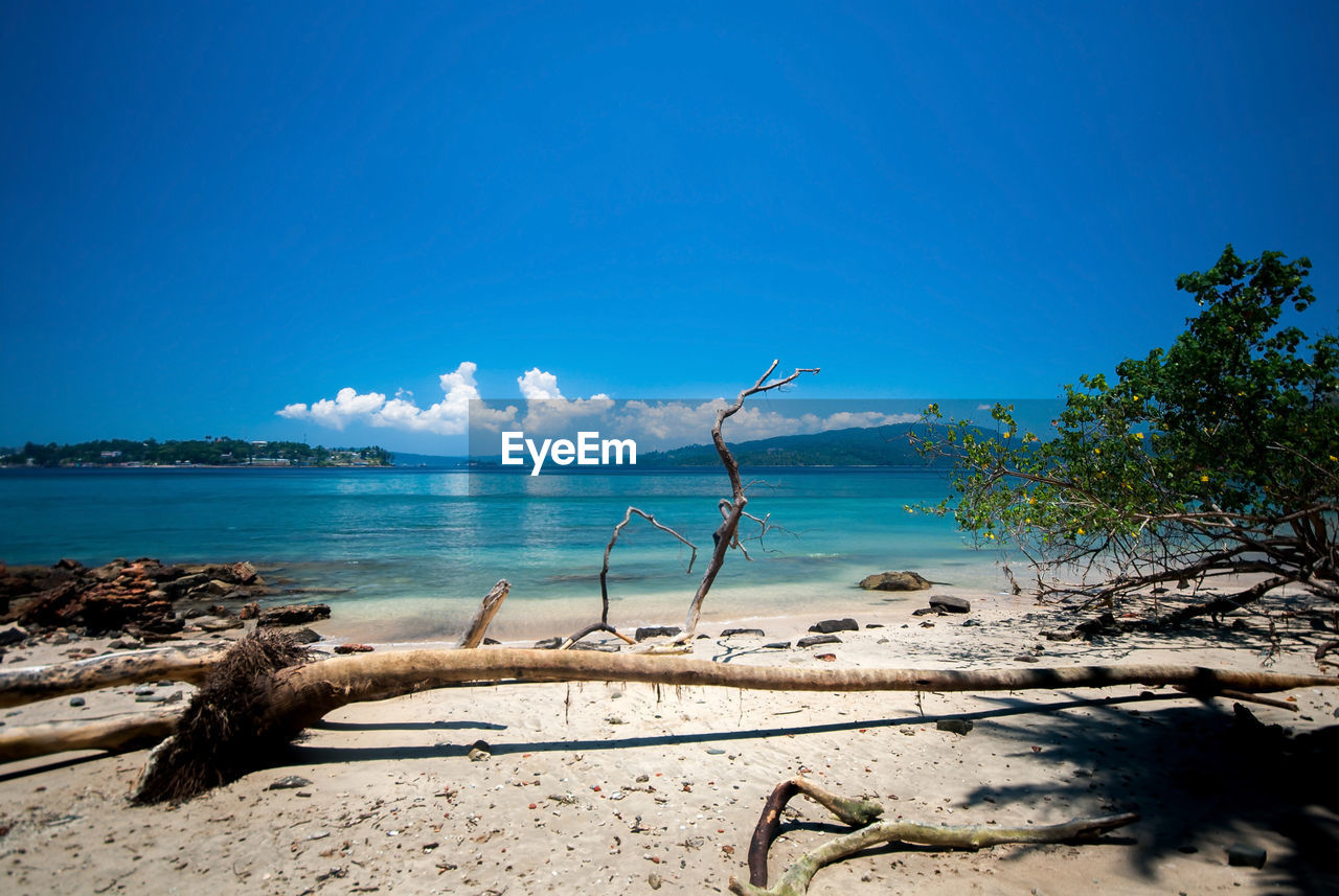 Scenic view of beach against blue sky