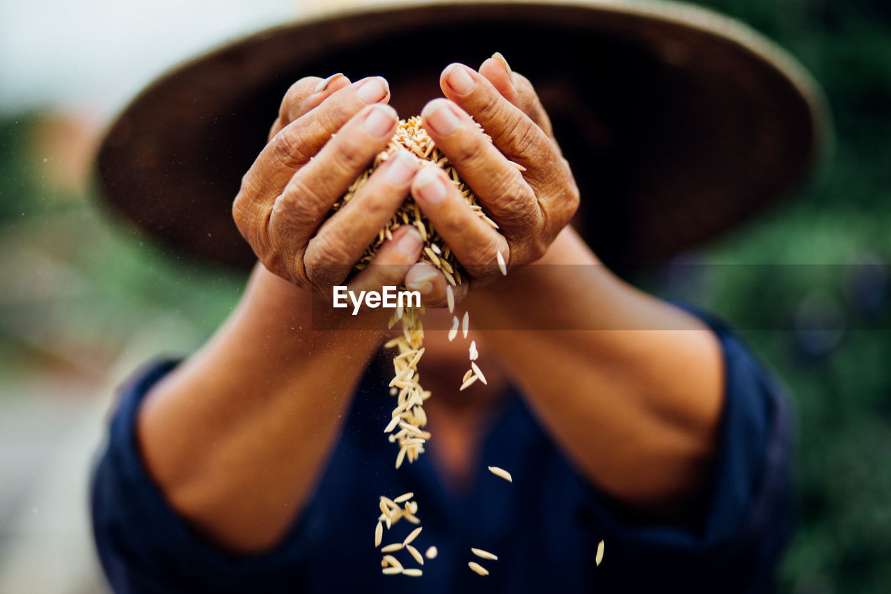 Close-up of farmer holding wheat