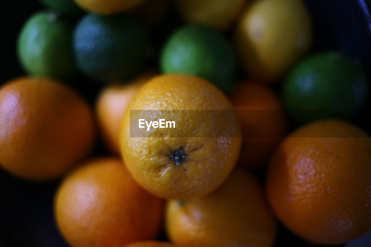 Close-up of oranges, lime and lemons 