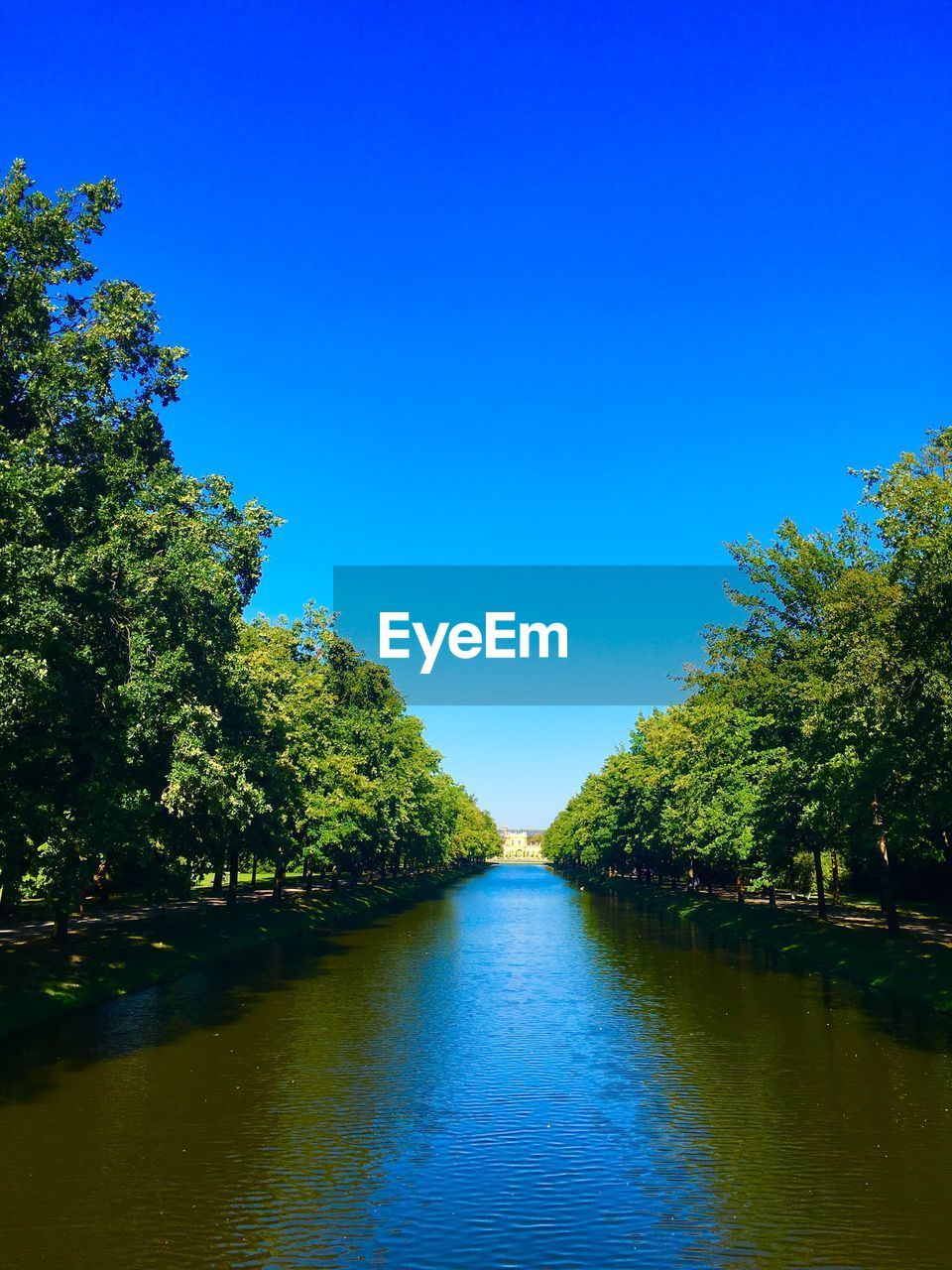 RIVER AMIDST TREES AGAINST BLUE SKY