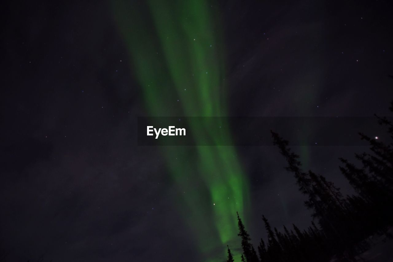 Low angle view of aurora borealis in sky at night