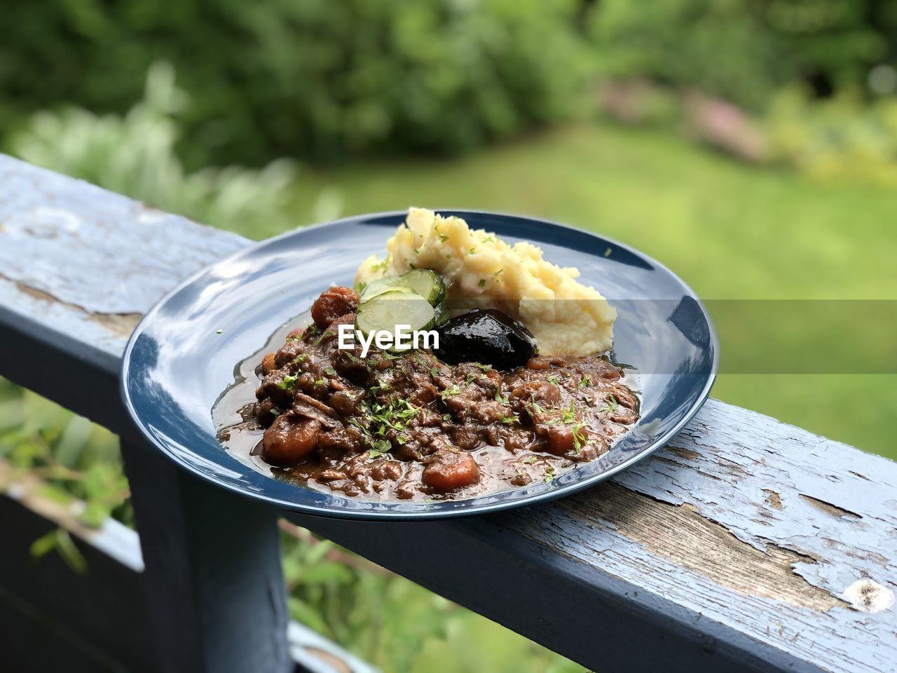 A blue plate of food on an old wooden log in the woods 