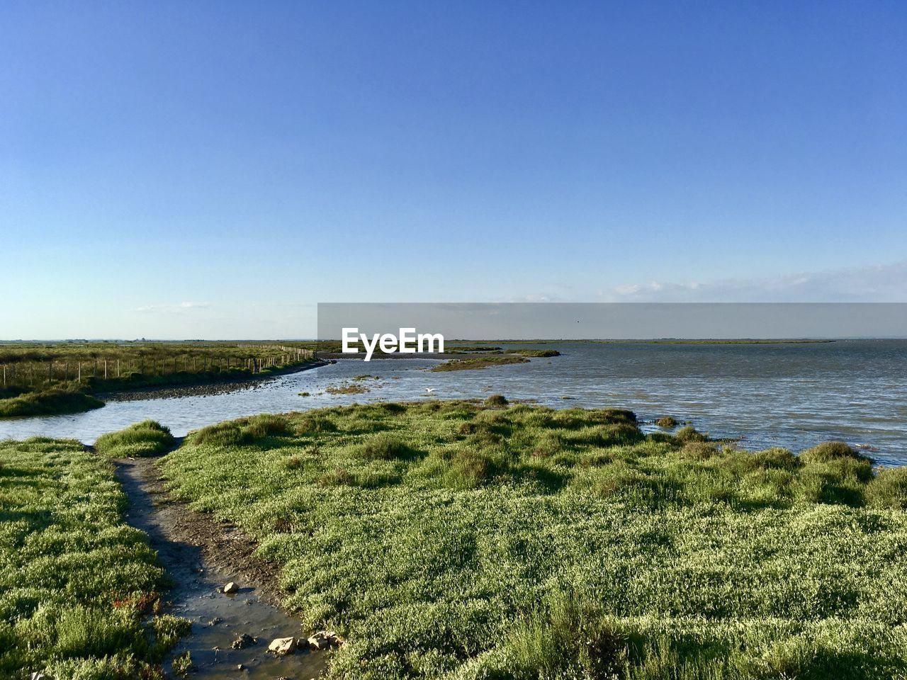 Scenic view of marshes against blue sky