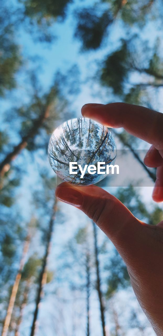 Close-up of hand holding crystal against trees