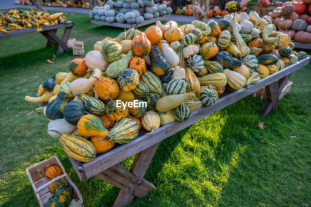 food and drink, food, healthy eating, freshness, large group of objects, abundance, vegetable, wellbeing, fruit, market, day, pumpkin, city, high angle view, retail, plant, public space, nature, produce, no people, outdoors, grass, variation, for sale, business, market stall, container, flower, arrangement, organic, basket, squash, small business, business finance and industry, land, autumn, agriculture, field