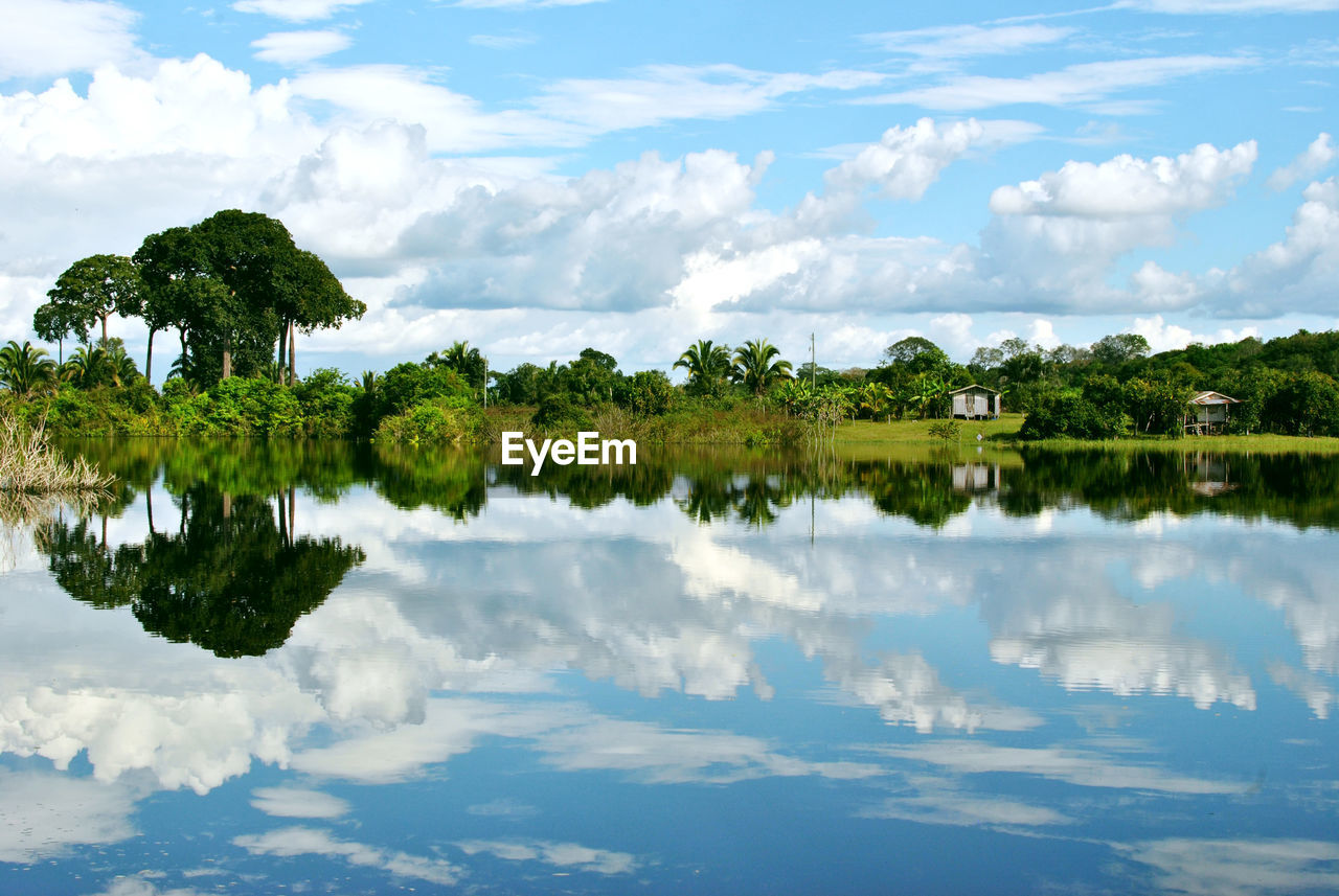 PANORAMIC VIEW OF LAKE AND TREES AGAINST SKY