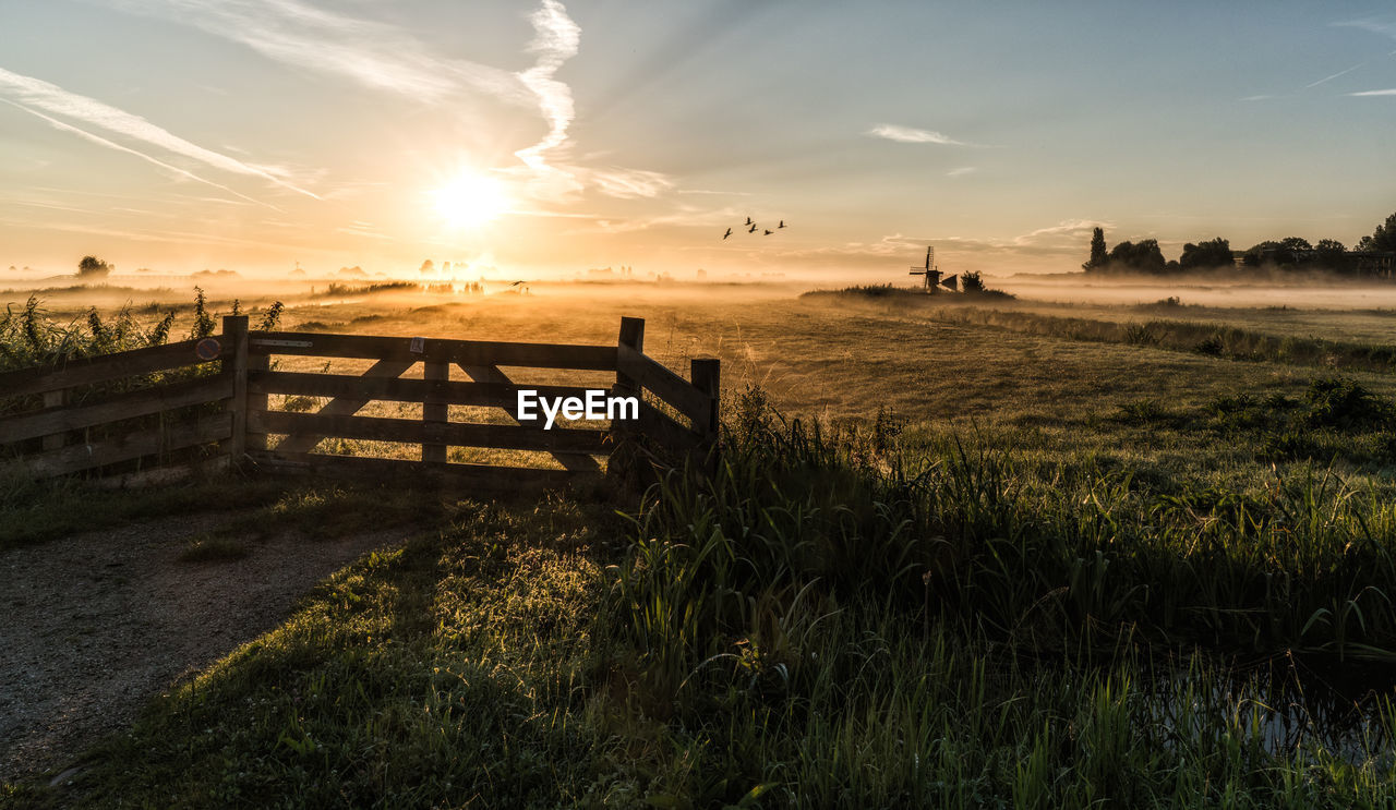 Scenic view of field against sky during sunset