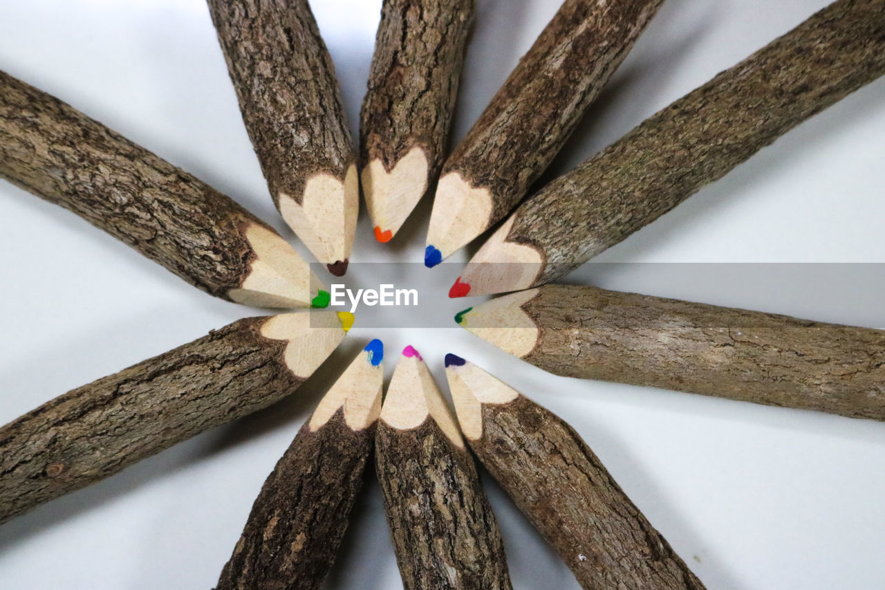 DIRECTLY BELOW SHOT OF TREE AGAINST WHITE WALL