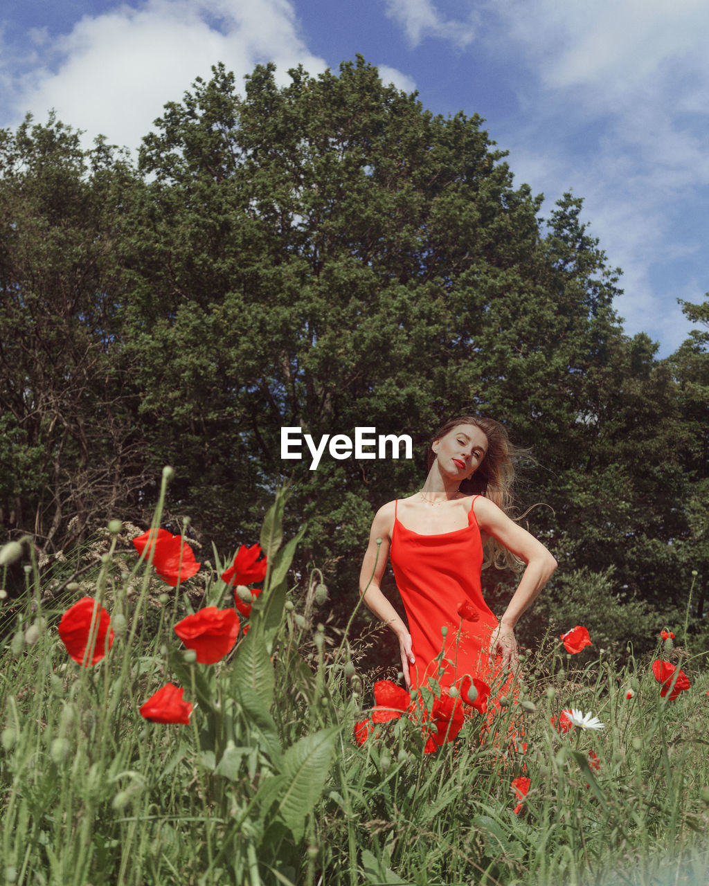 Woman standing by red poppy flowers on field