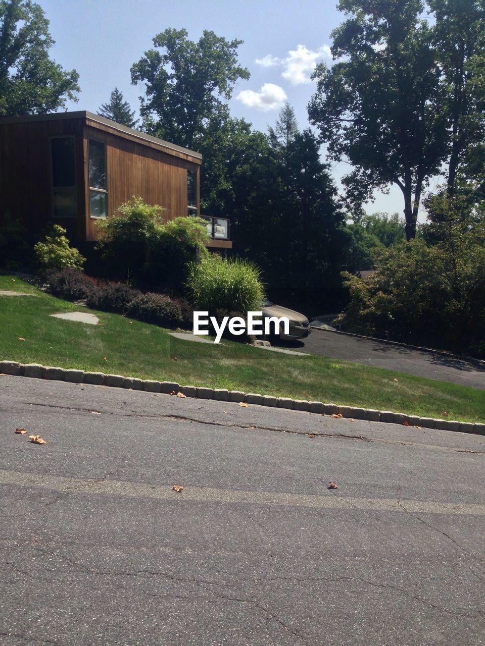 House and trees with street in foreground