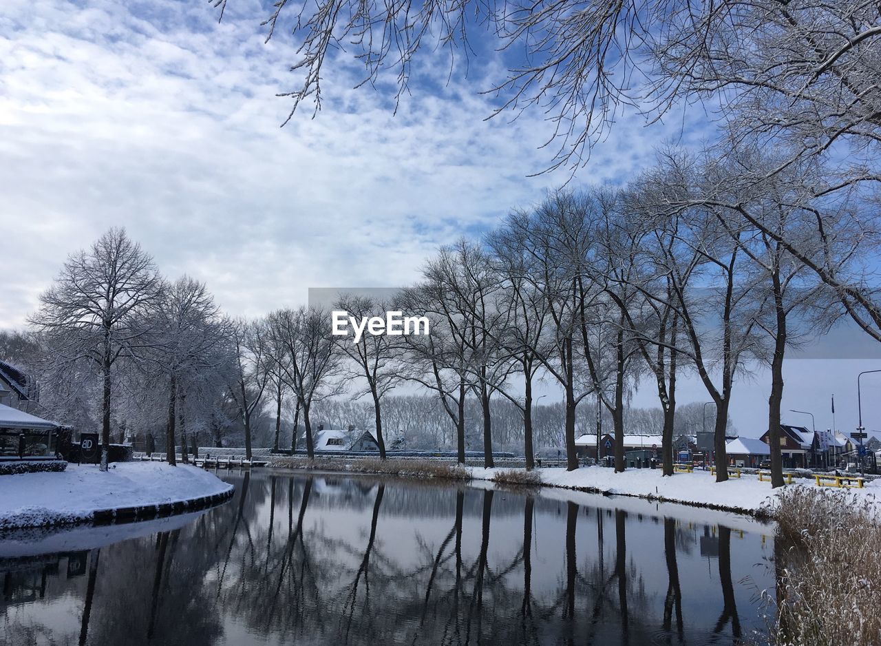 BARE TREES BY LAKE AGAINST SKY