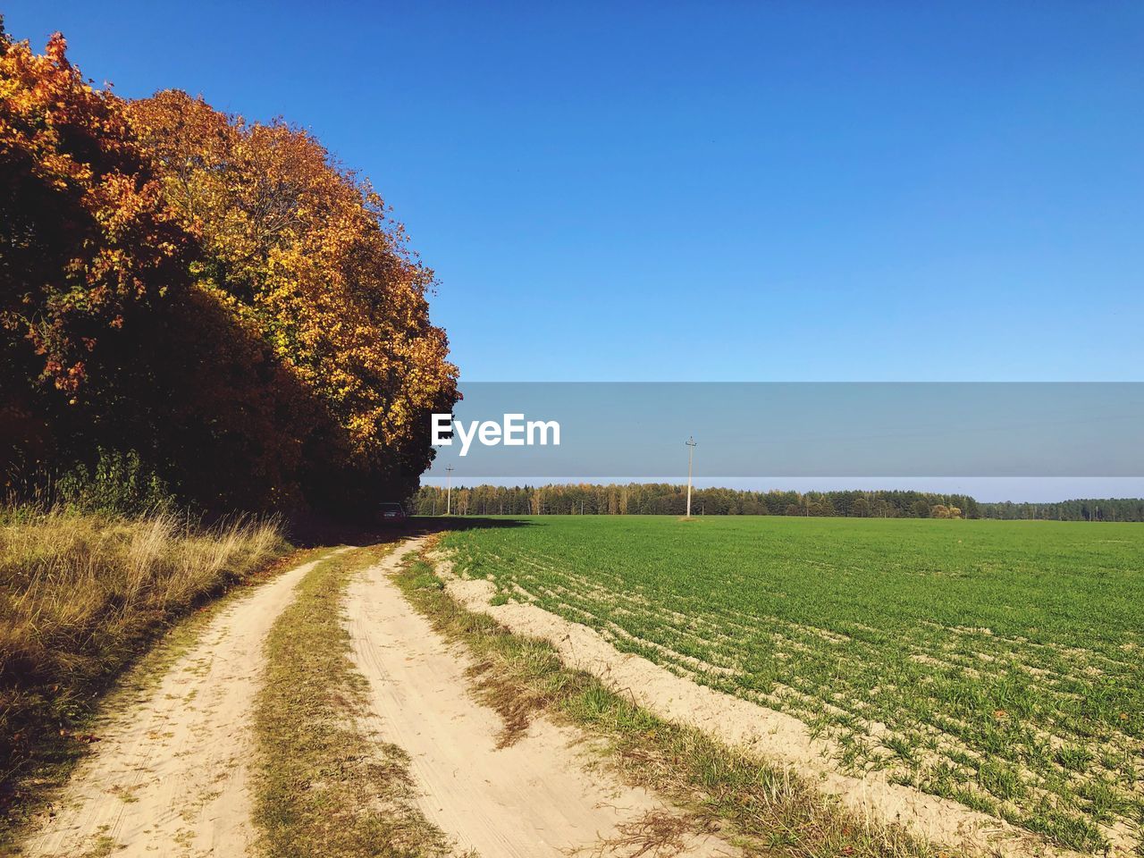 Road amidst trees on field against clear blue sky