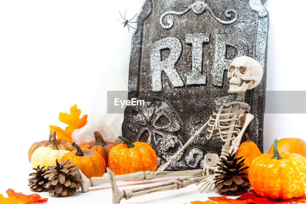 CLOSE-UP OF PUMPKIN AGAINST YELLOW AND WHITE BACKGROUND