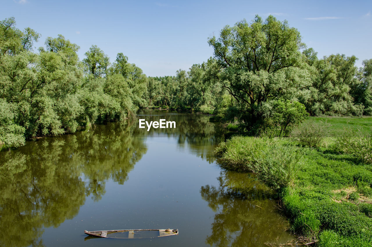 SCENIC VIEW OF LAKE AGAINST TREES