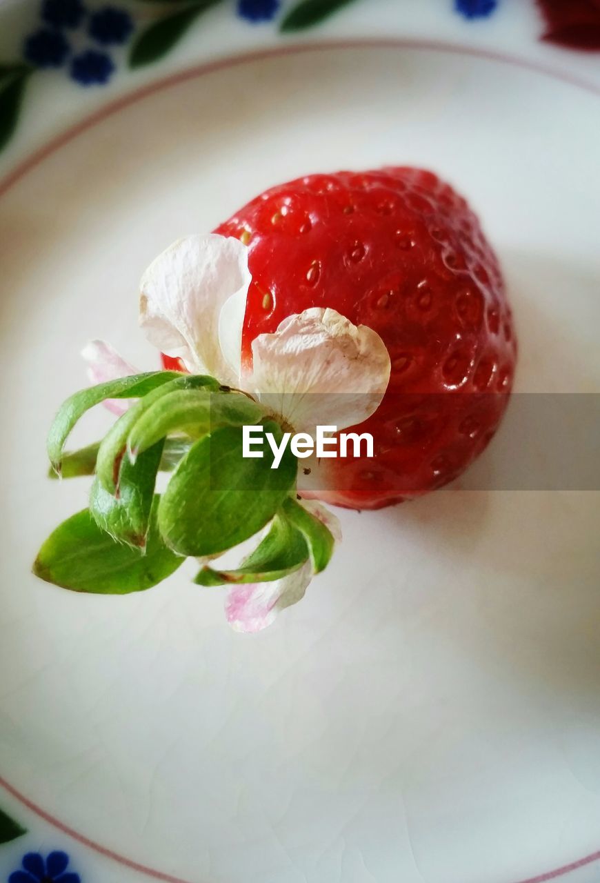 Close-up of strawberry in plate