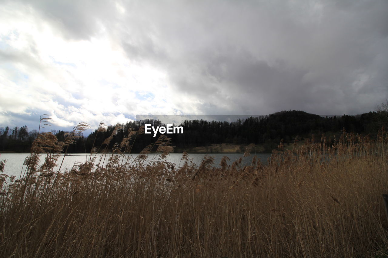 PANORAMIC VIEW OF LAND AGAINST SKY