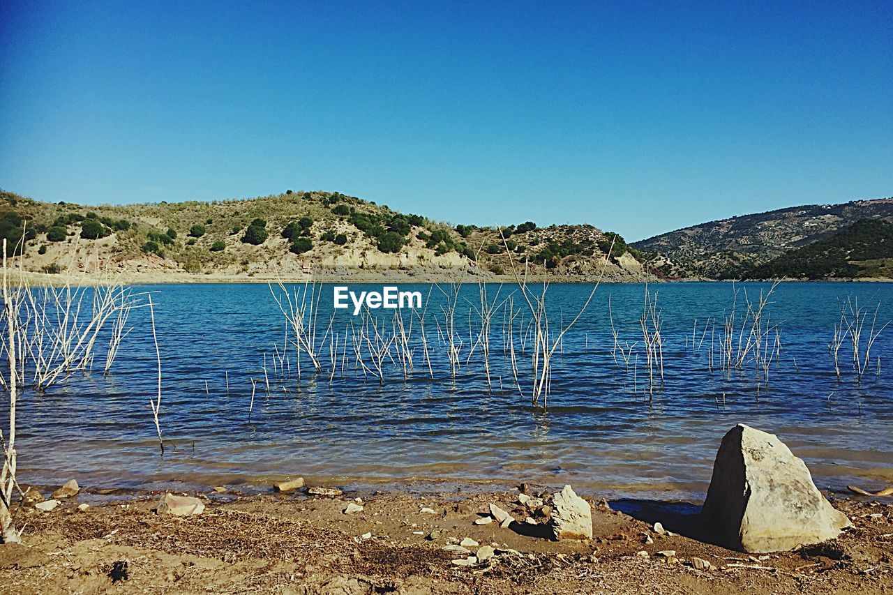 VIEW OF CALM LAKE AGAINST CLEAR SKY