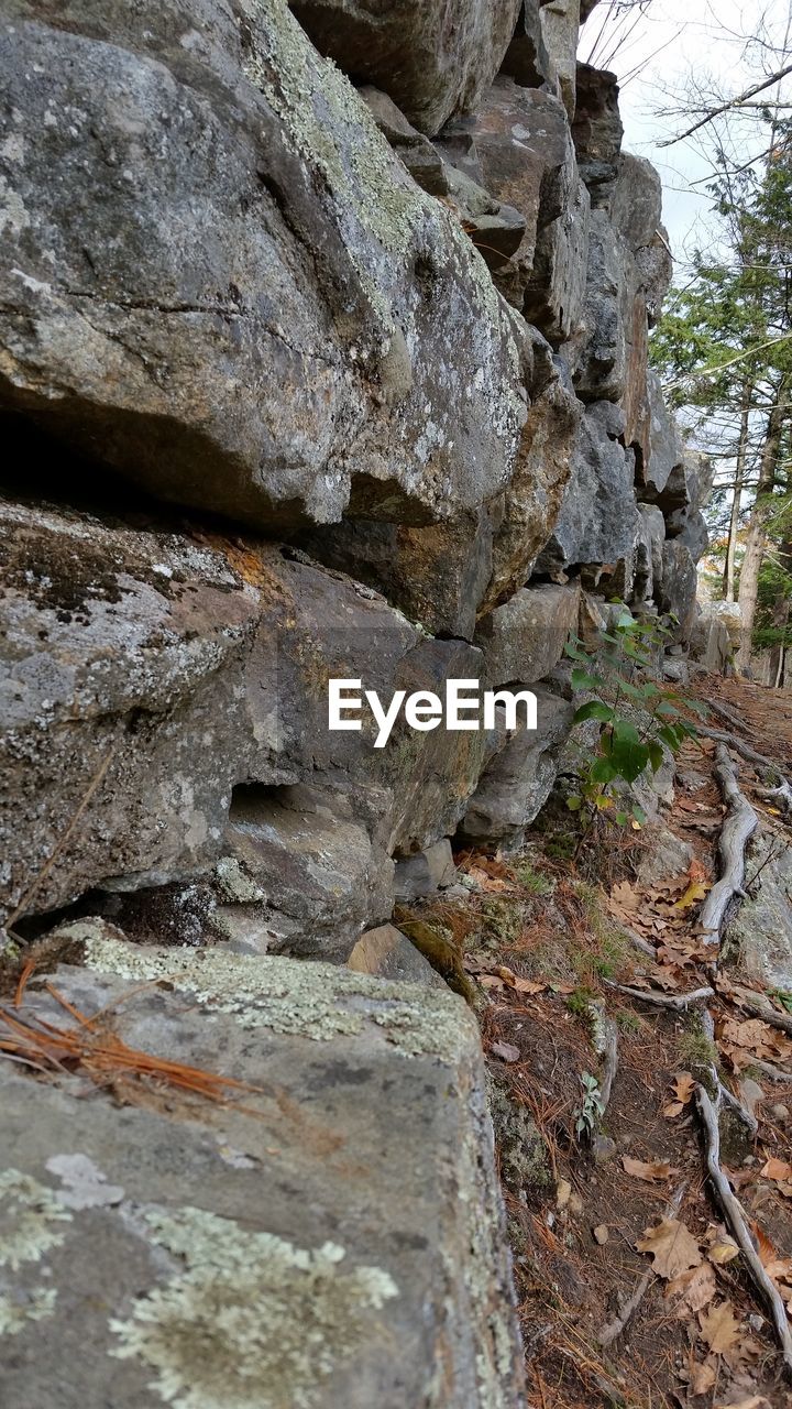 LOW ANGLE VIEW OF ROCKS ON SHORE