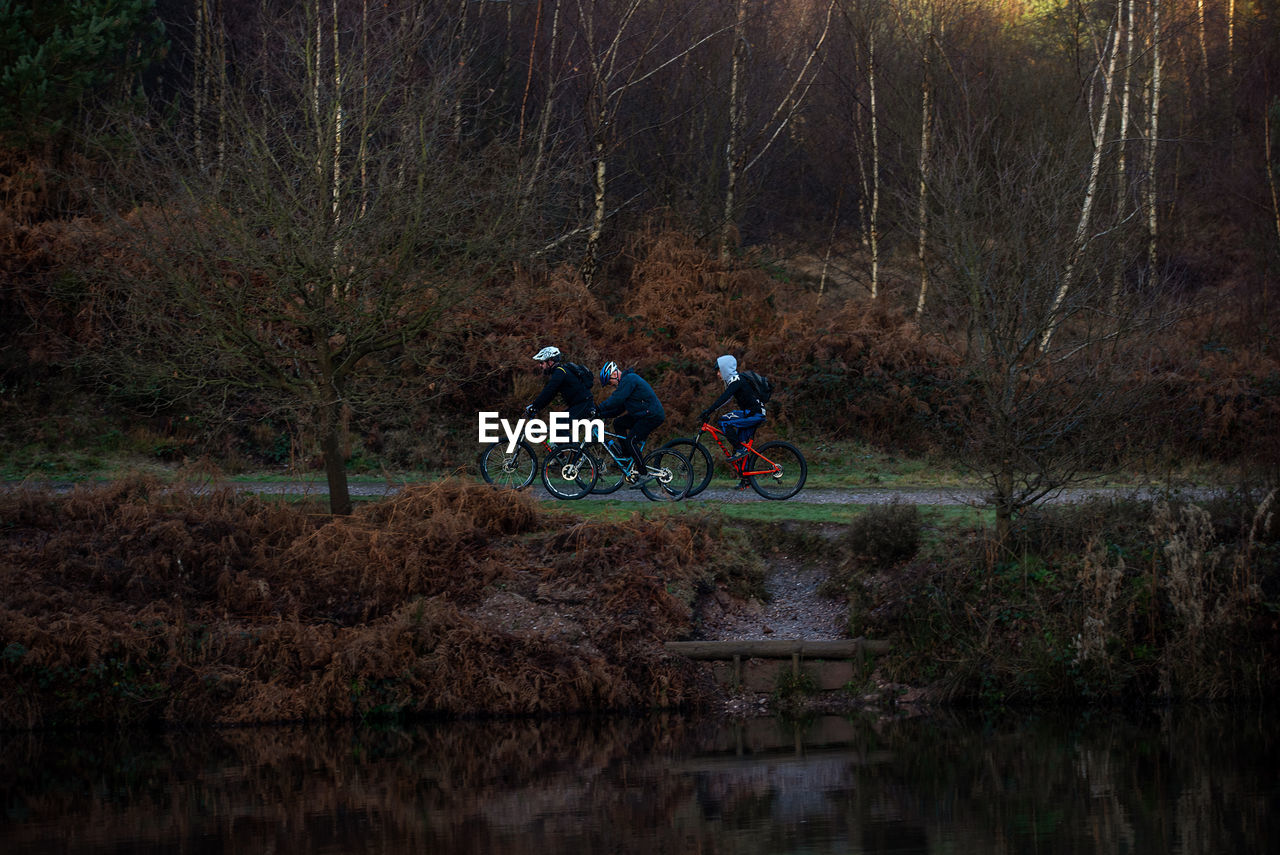 VIEW OF PEOPLE RIDING BICYCLE ON FOREST