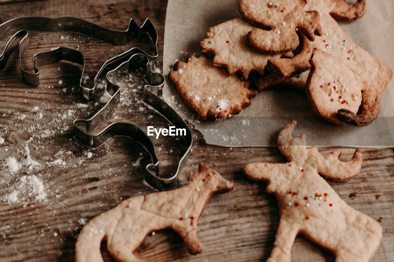 Diy christmas cookies. hot chocolate with cream and biscuits. animal figurine cookies. 