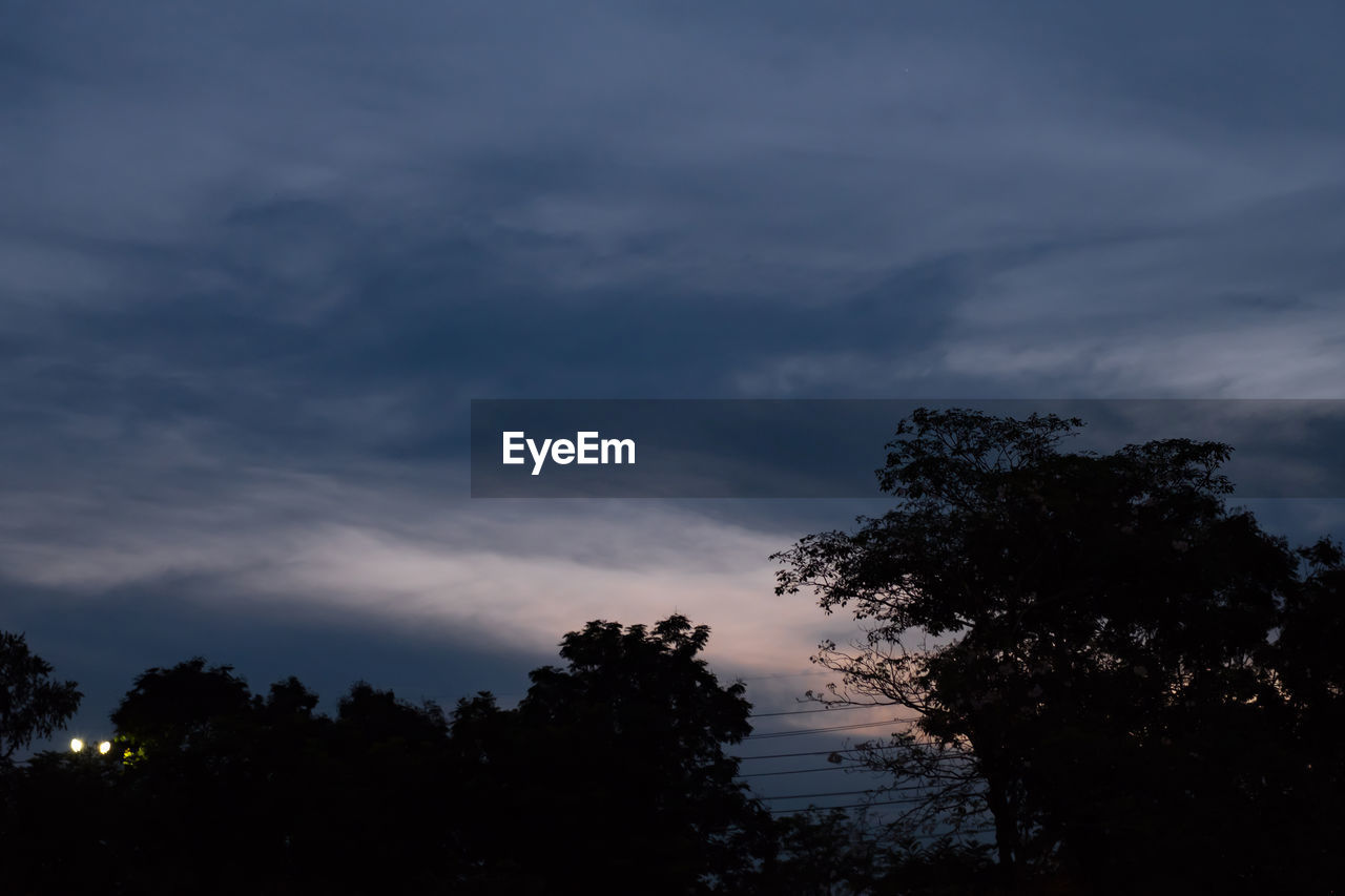 LOW ANGLE VIEW OF SILHOUETTE TREE AGAINST SKY AT SUNSET