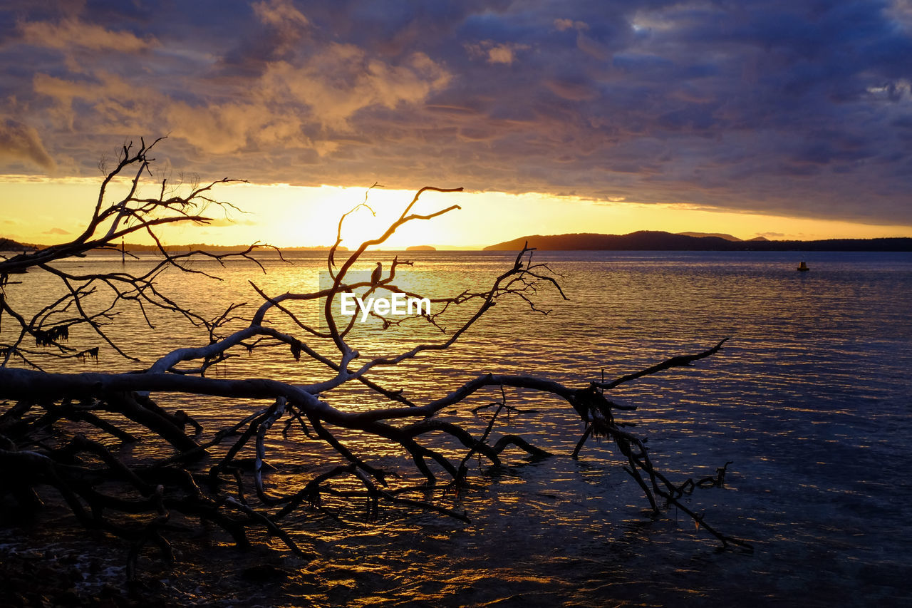 SCENIC VIEW OF SEA AT SUNSET