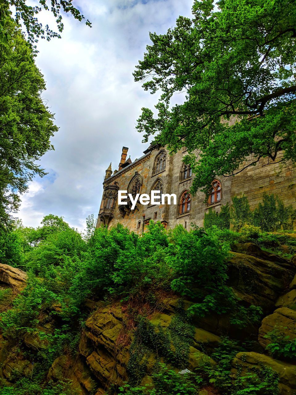 Low angle view of plants on rock against historic building and sky