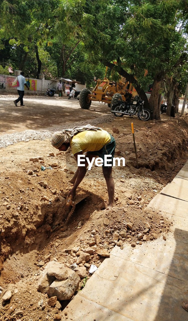 PEOPLE WORKING ON TREE