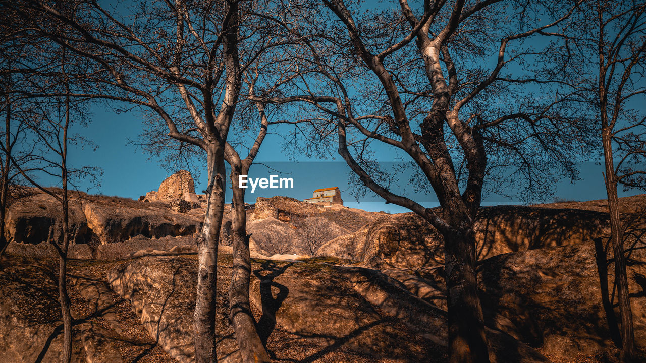 Bare trees on rock formations against sky