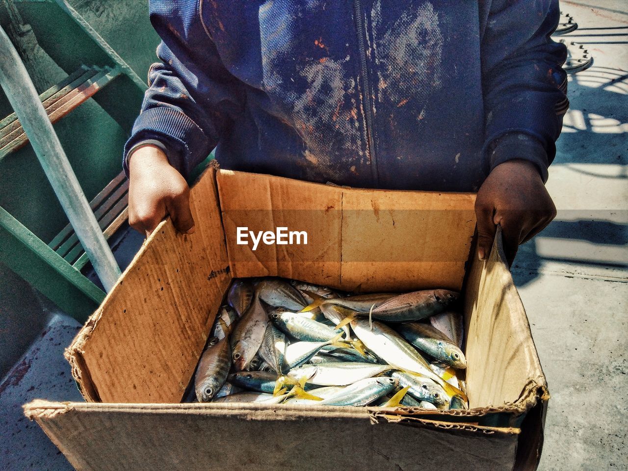 High angle view of man holding fish