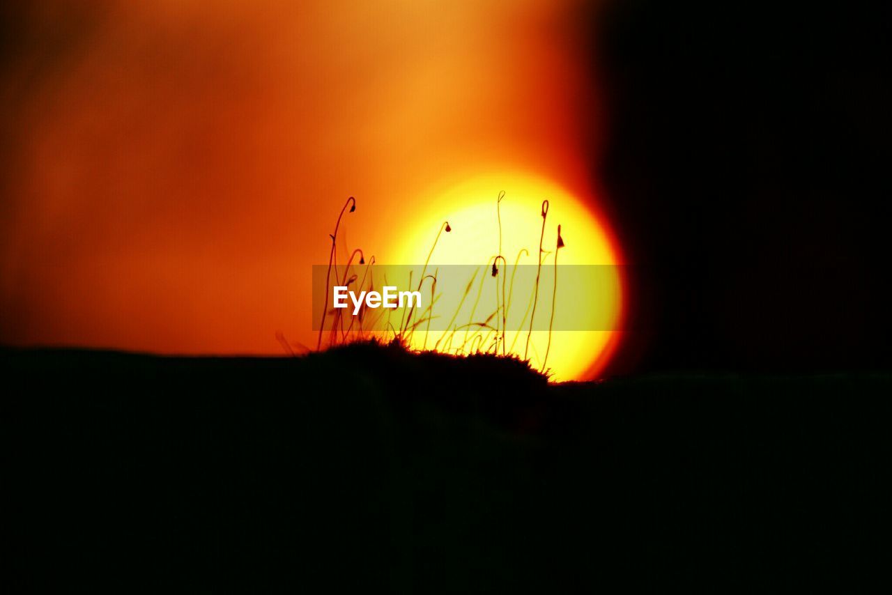 Low angle view of orange sun at sunset