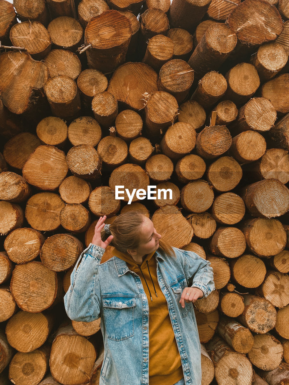 Stack of logs in forest