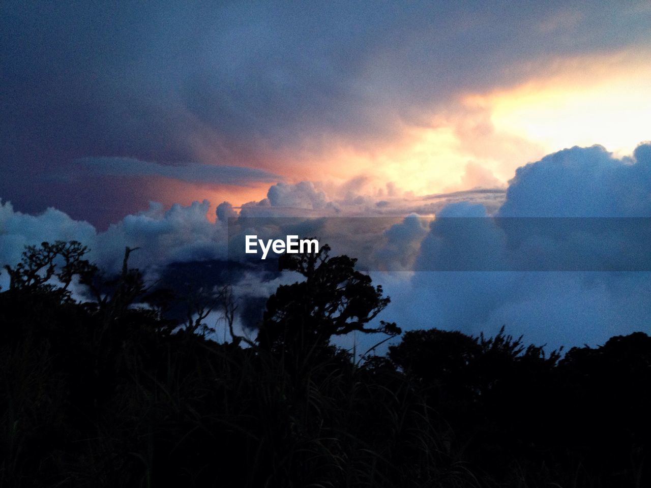 LOW ANGLE VIEW OF DRAMATIC SKY OVER SILHOUETTE TREES