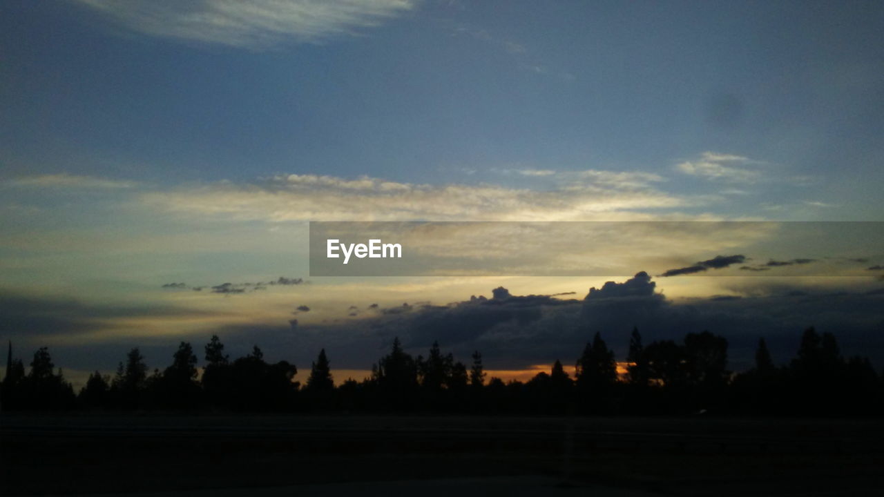 SILHOUETTE OF TREES AT SUNSET